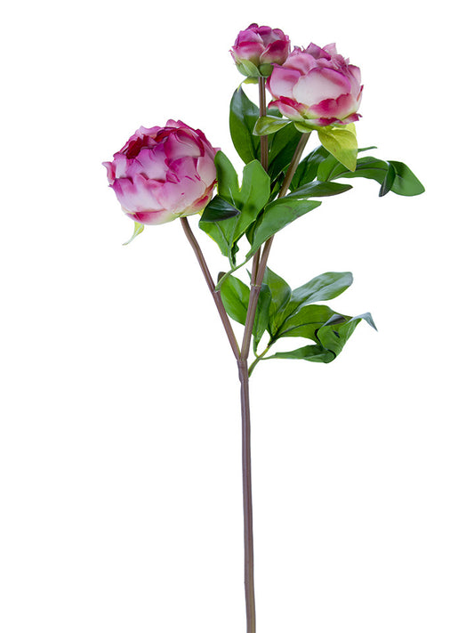 Fresh Touch Fuchsia 3 Peony Buds