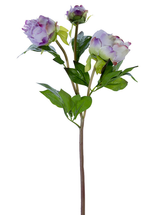 Fresh Touch Lavender 3 Peony Buds