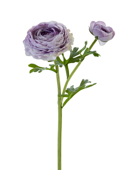 Fresh Touch Lavender Asiatic Ranunculus