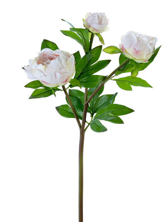 Fresh Touch Blush 3 Peony Buds