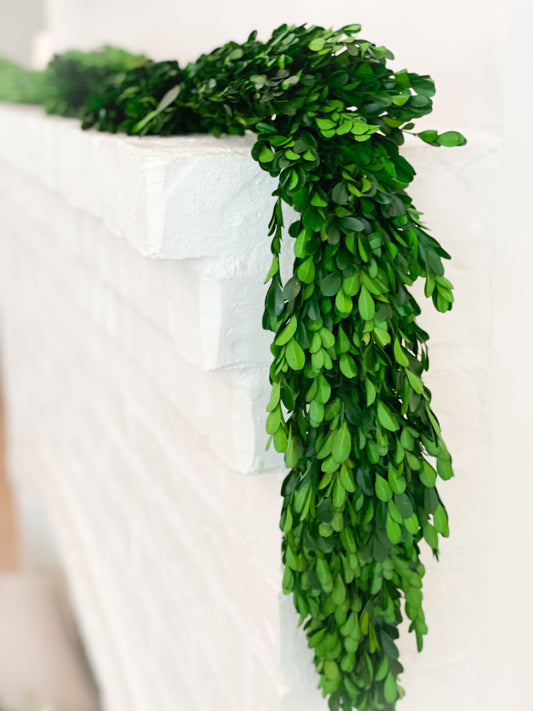 Preserved Boxwood Garland With Seeds