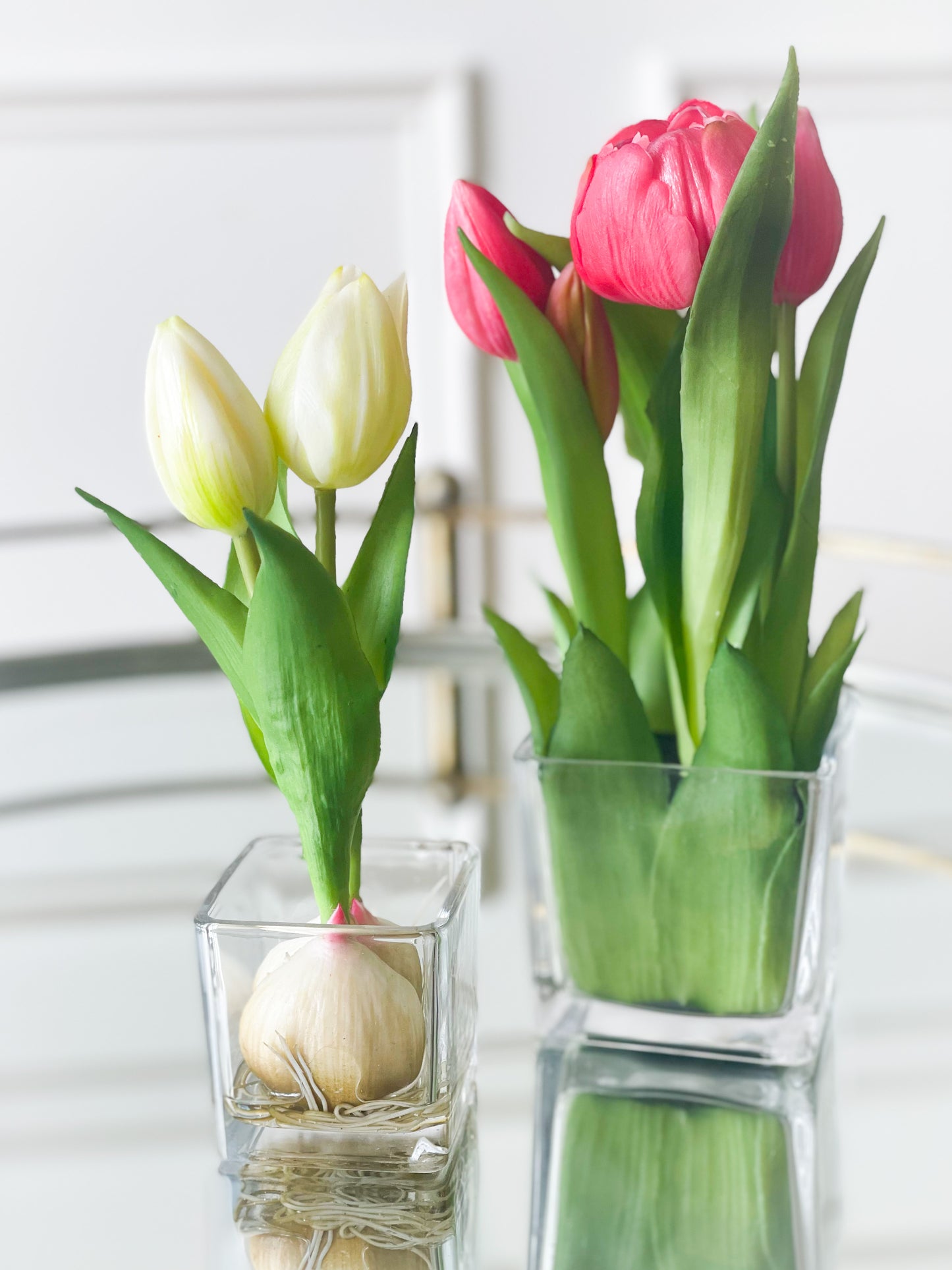 Cream Tulip Bud And Bulb In Vase