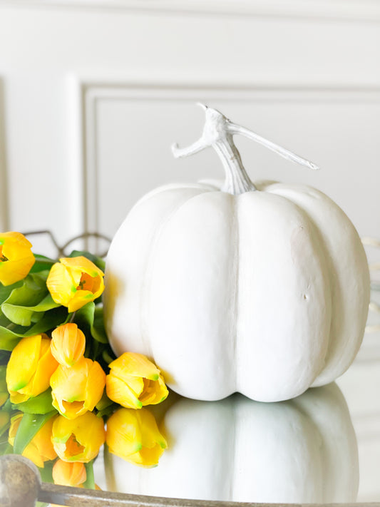 White And Cream Pumpkin With With Stem