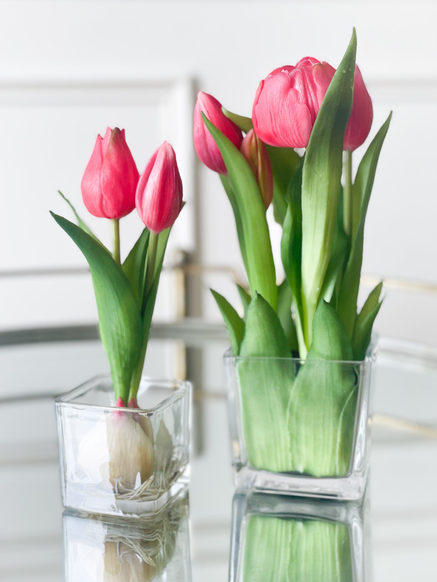 Fuchsia Tulip Bud And Bulb In Vase