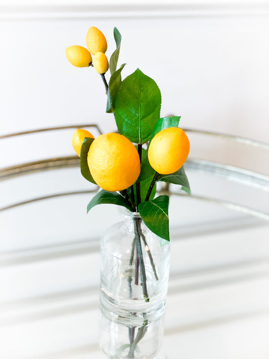 Lemon Branch In A Glass Vase With Acrylic Water