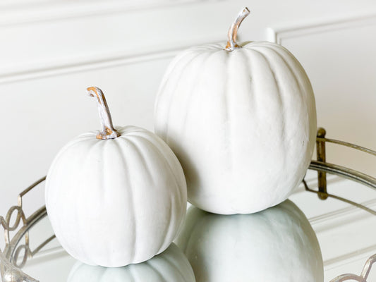 Set Of Two White Pumpkin With Weathered Stem