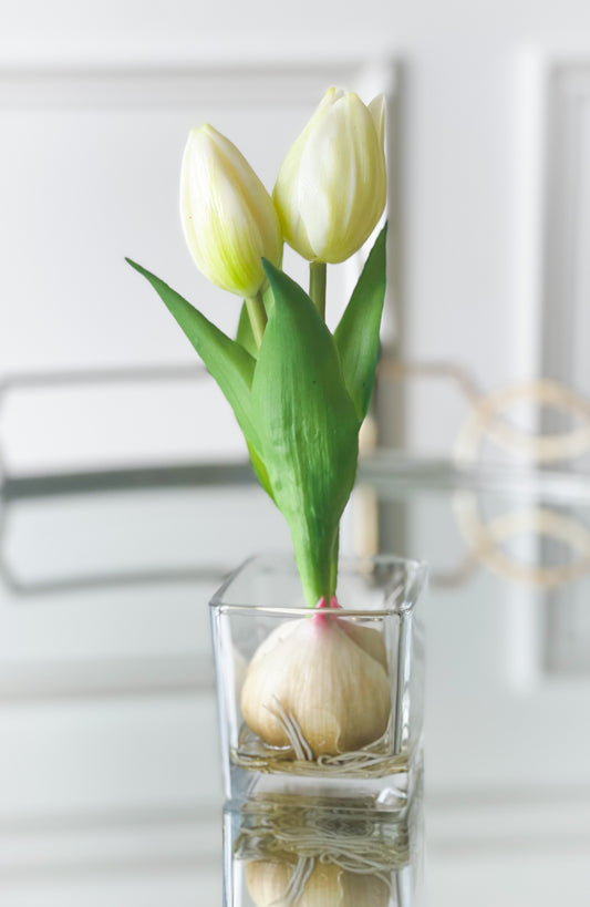 Cream Tulip Bud And Bulb In Vase