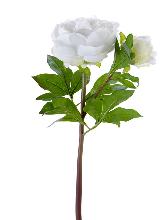 Fresh Touch White Peony & Bud Stem