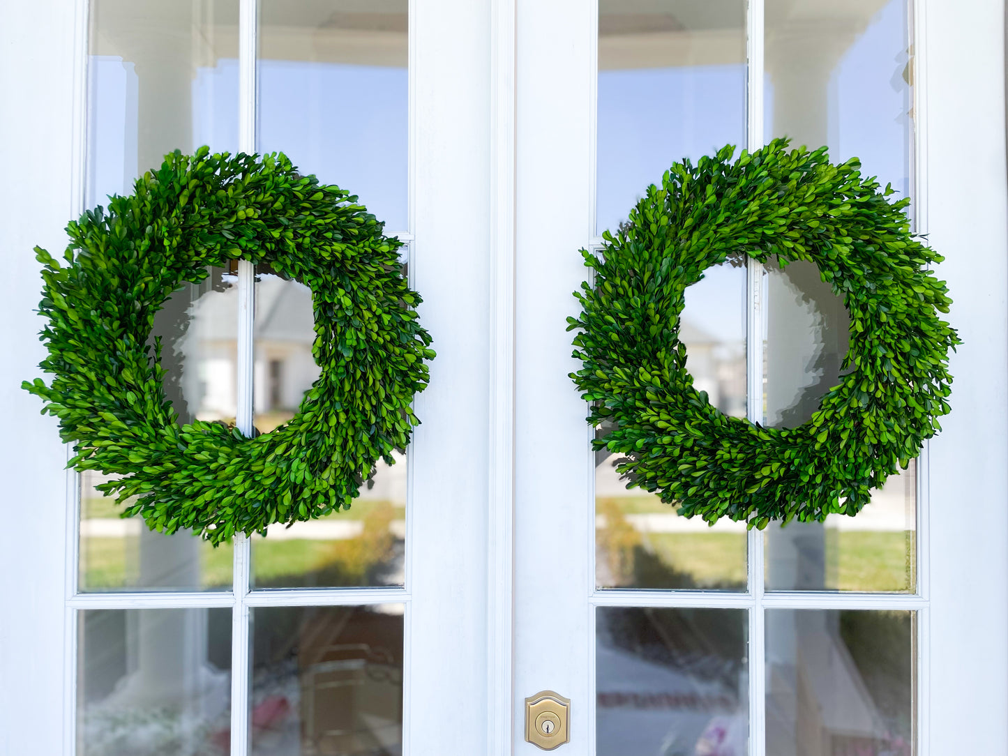 Preserved Round Boxwood Wreath