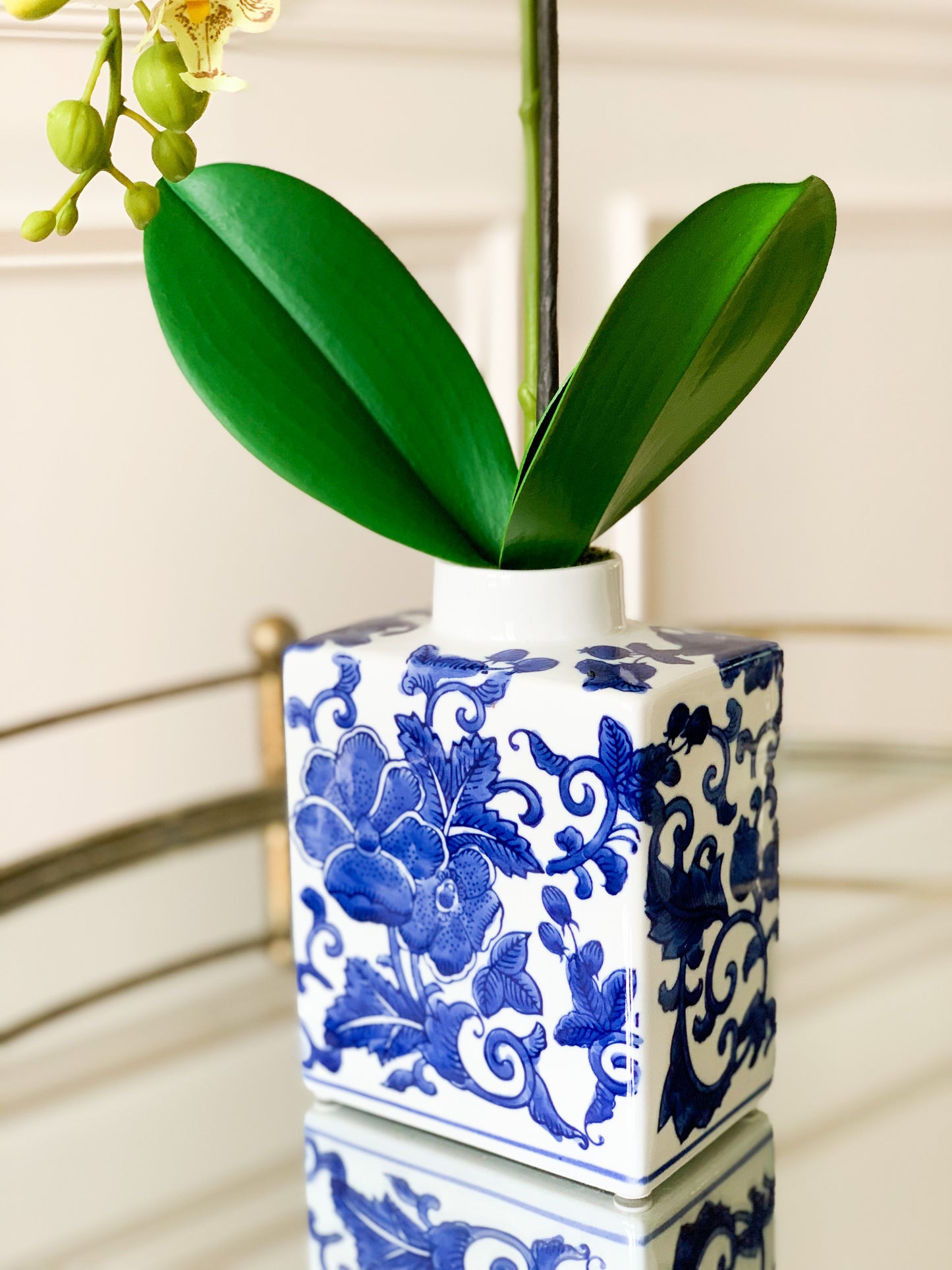 White Orchid in Chinoiserie Vase