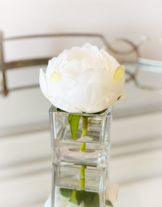 White Single Peony In Glass Vase With Acrylic Water