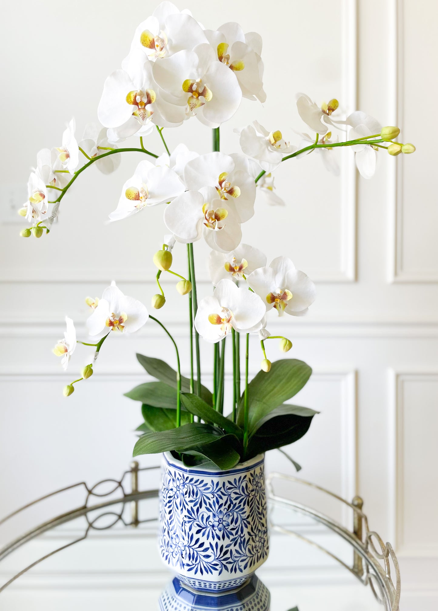 Large Orchid In Chinoiserie Planter