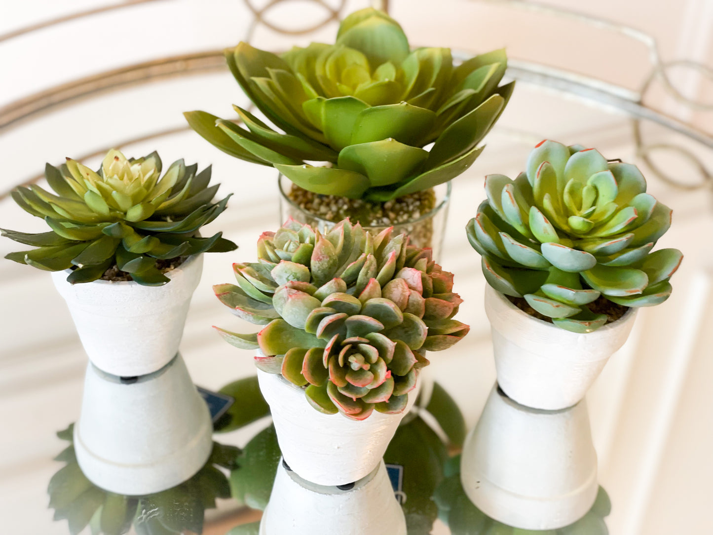 Set Of Three Succulents In White Ceramic Pots