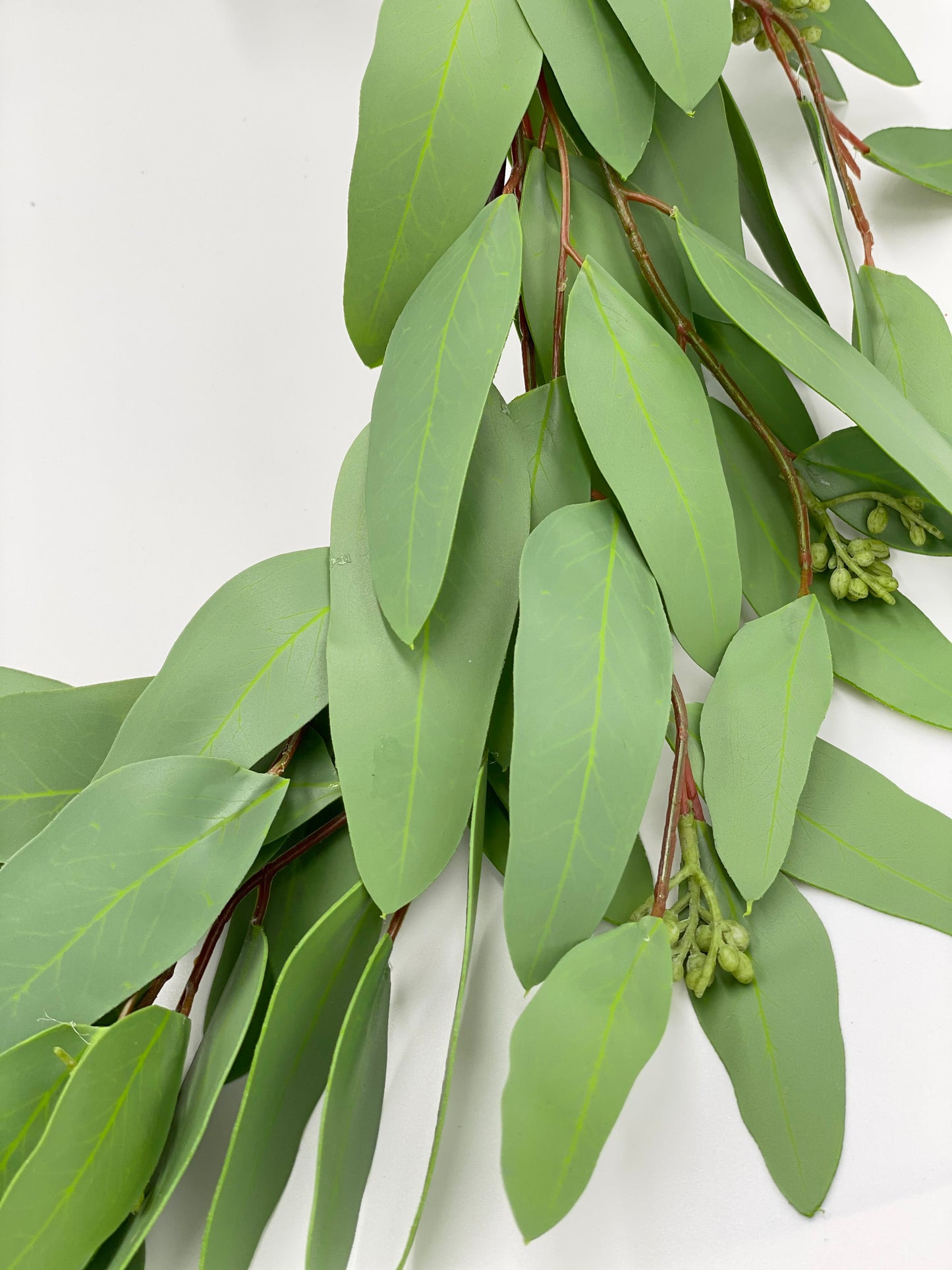 5’ Long Leaf Eucalyptus Garland