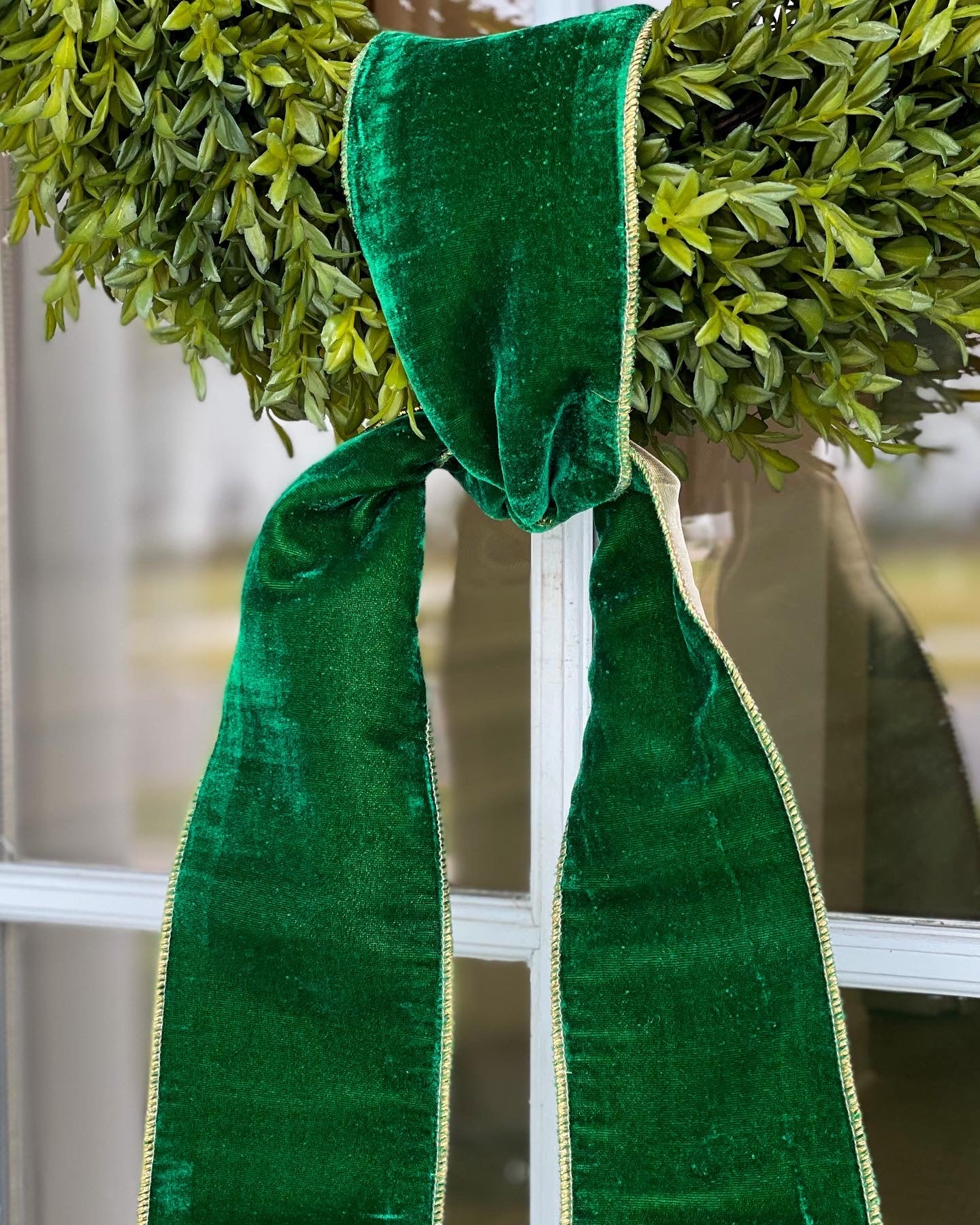 Emerald Green Velvet With Gold Trim and Backing