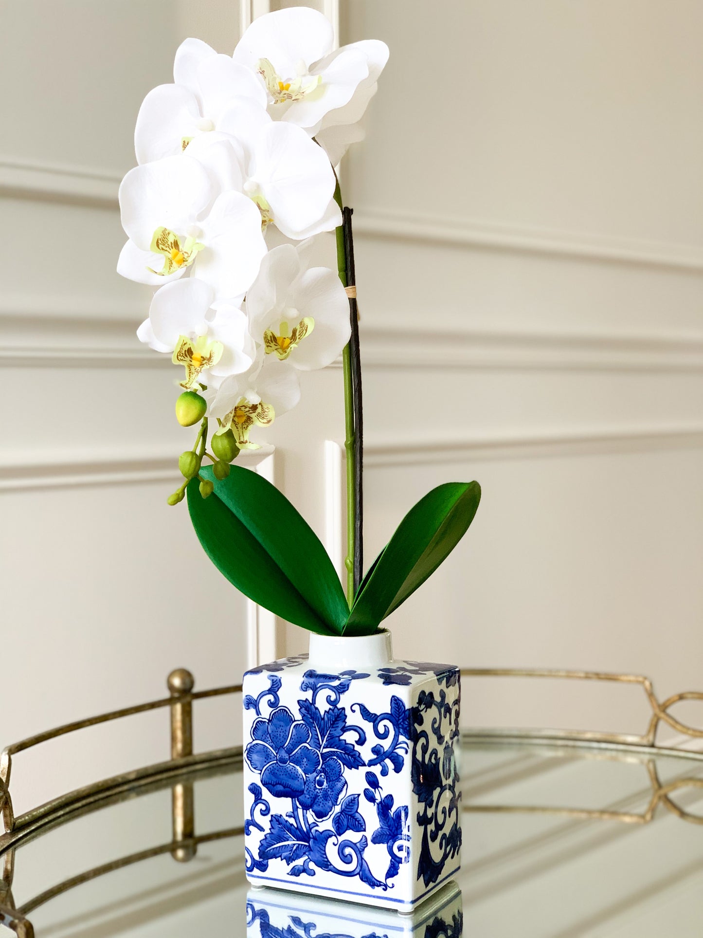White Orchid in Chinoiserie Vase