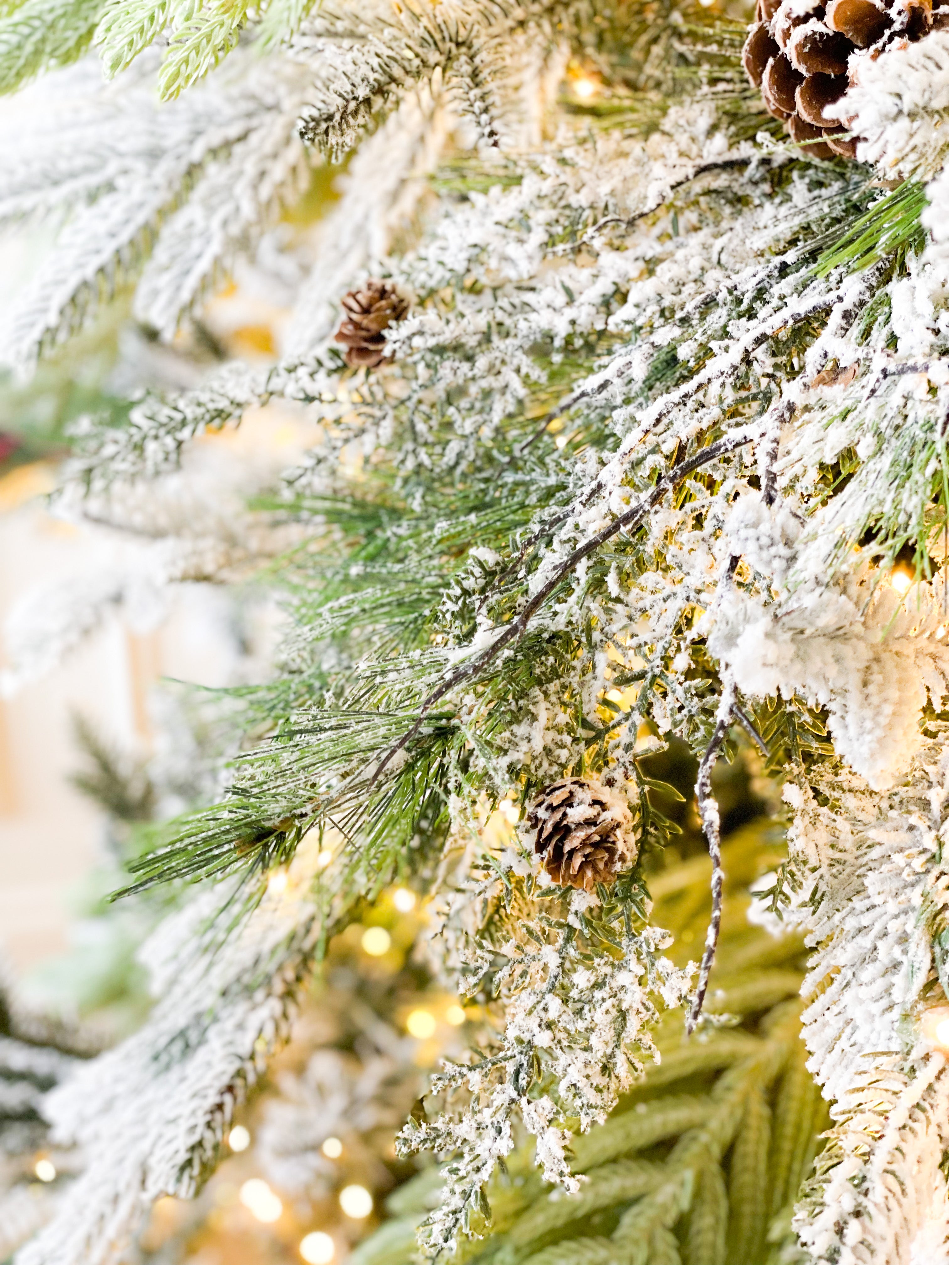 Evergreen & Flock Boxes – Blanc Box