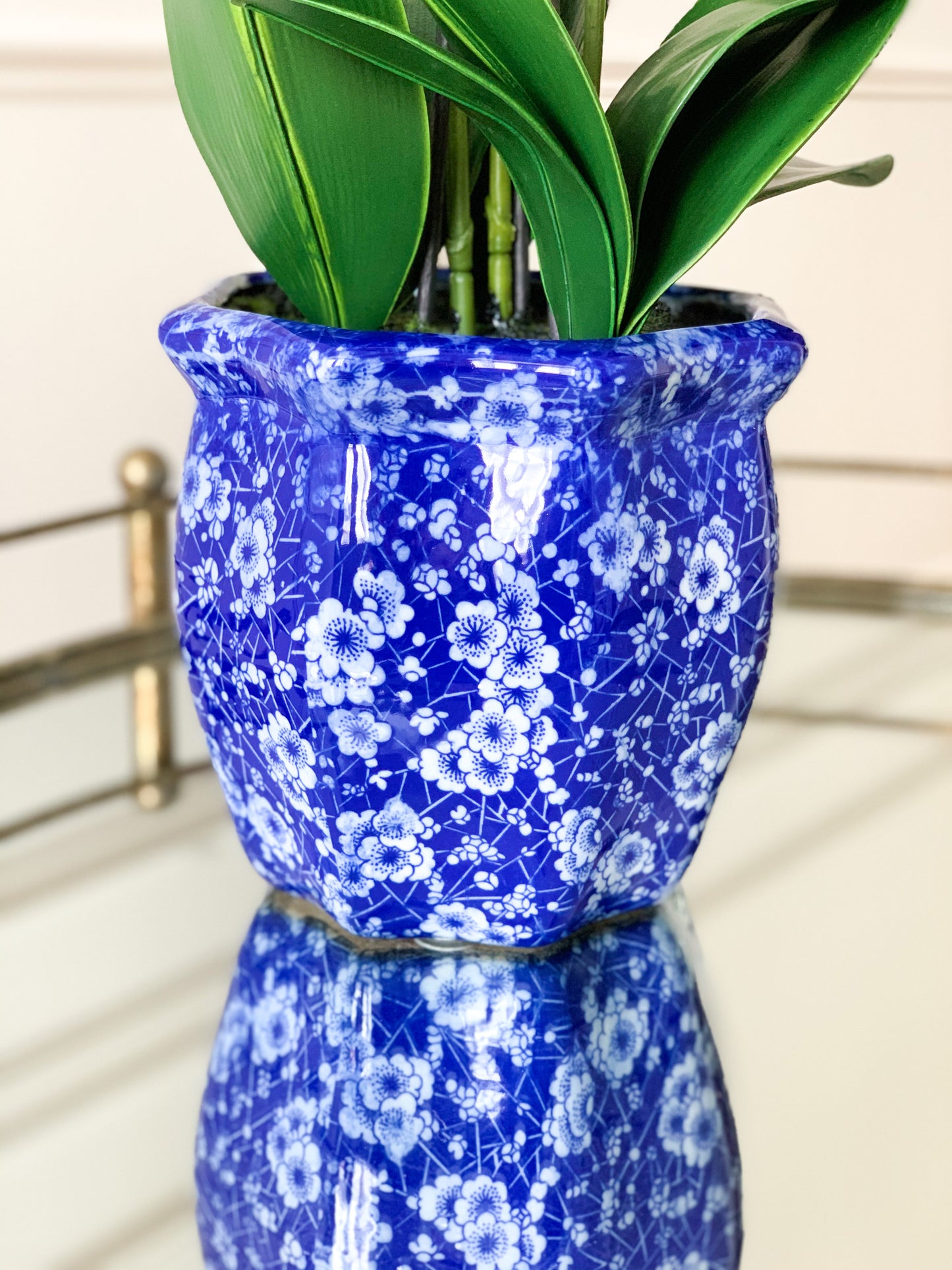 White Orchid Bundle in Chinoiserie Pot