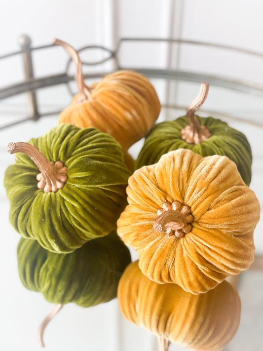 Velvet Pumpkin Harvest Set
