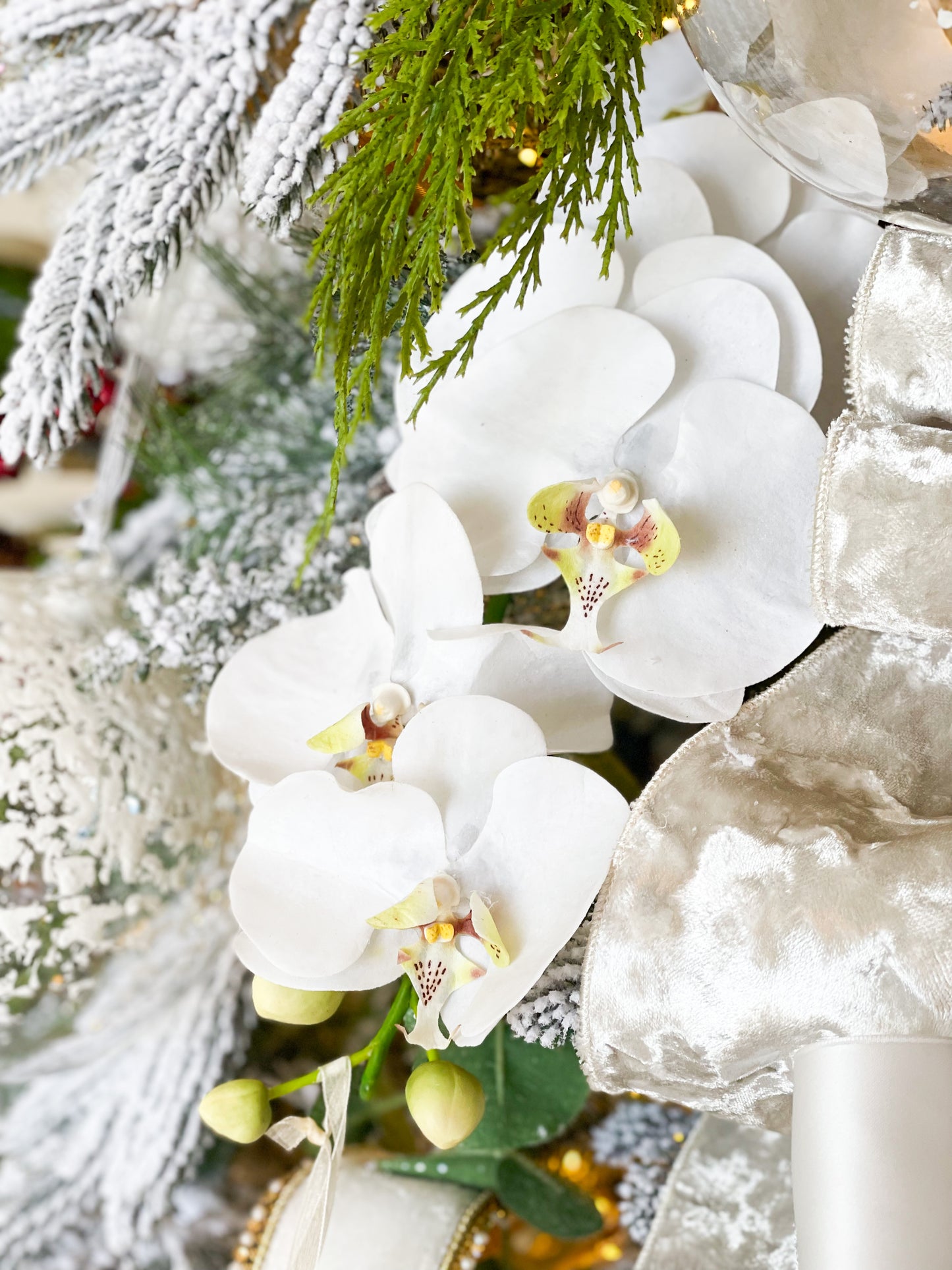 The Napa Christmas Tree Blanc Box