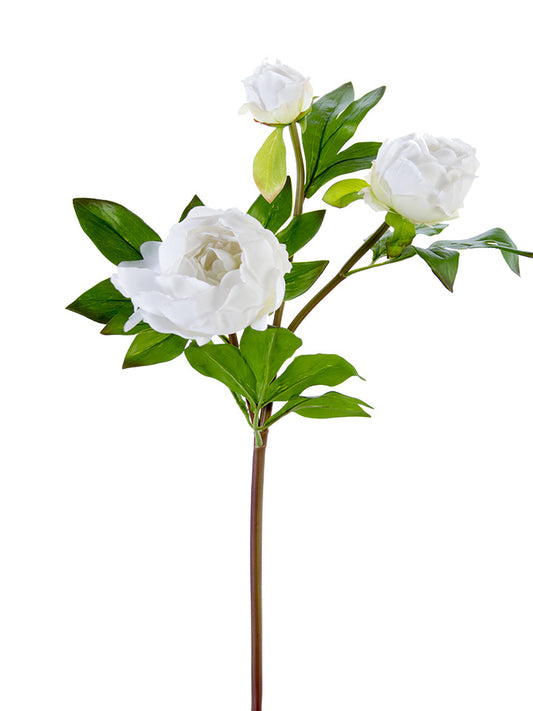 Fresh Touch White 3 Peony Buds