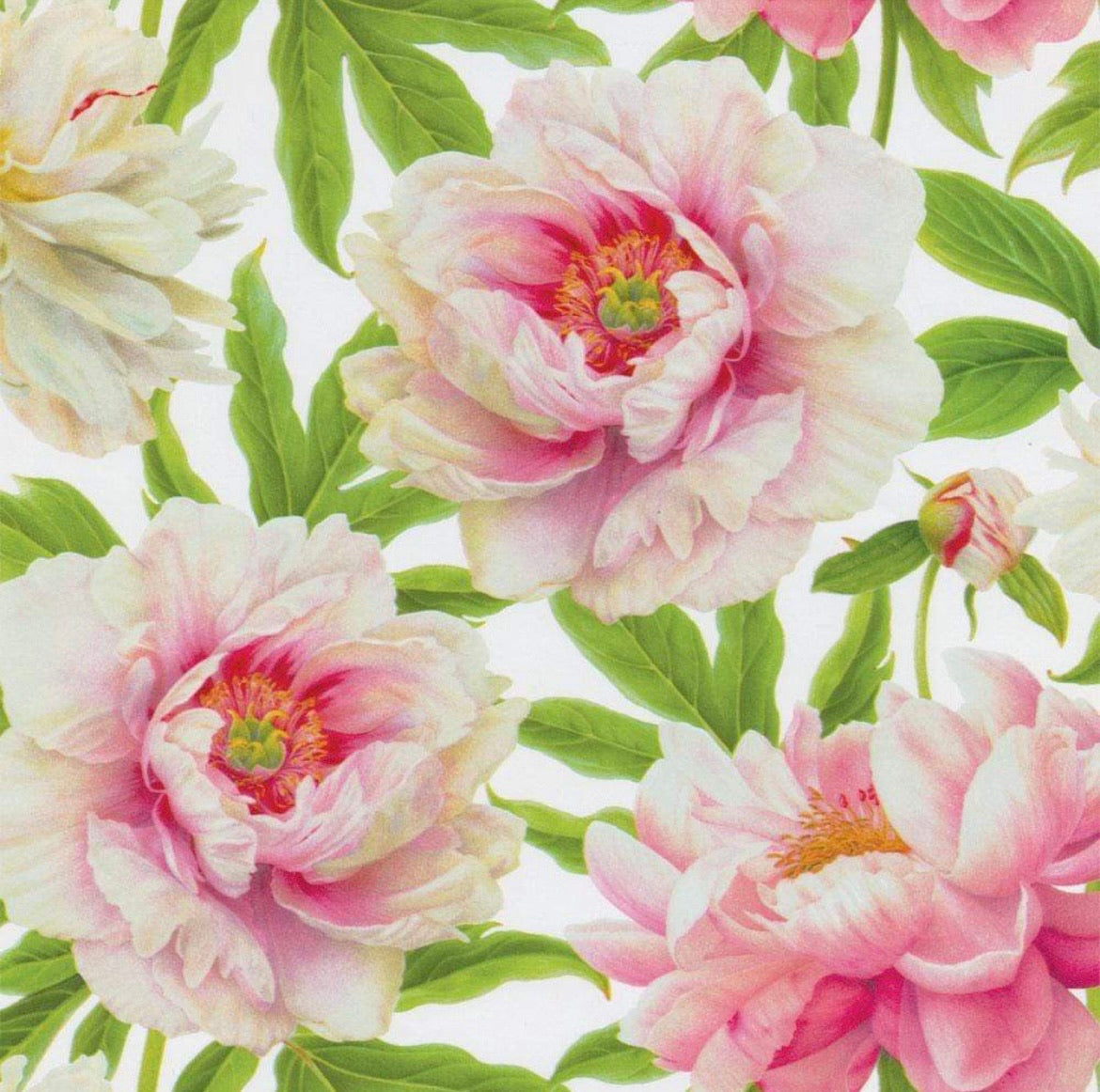 Pink Peony Wrapping Paper