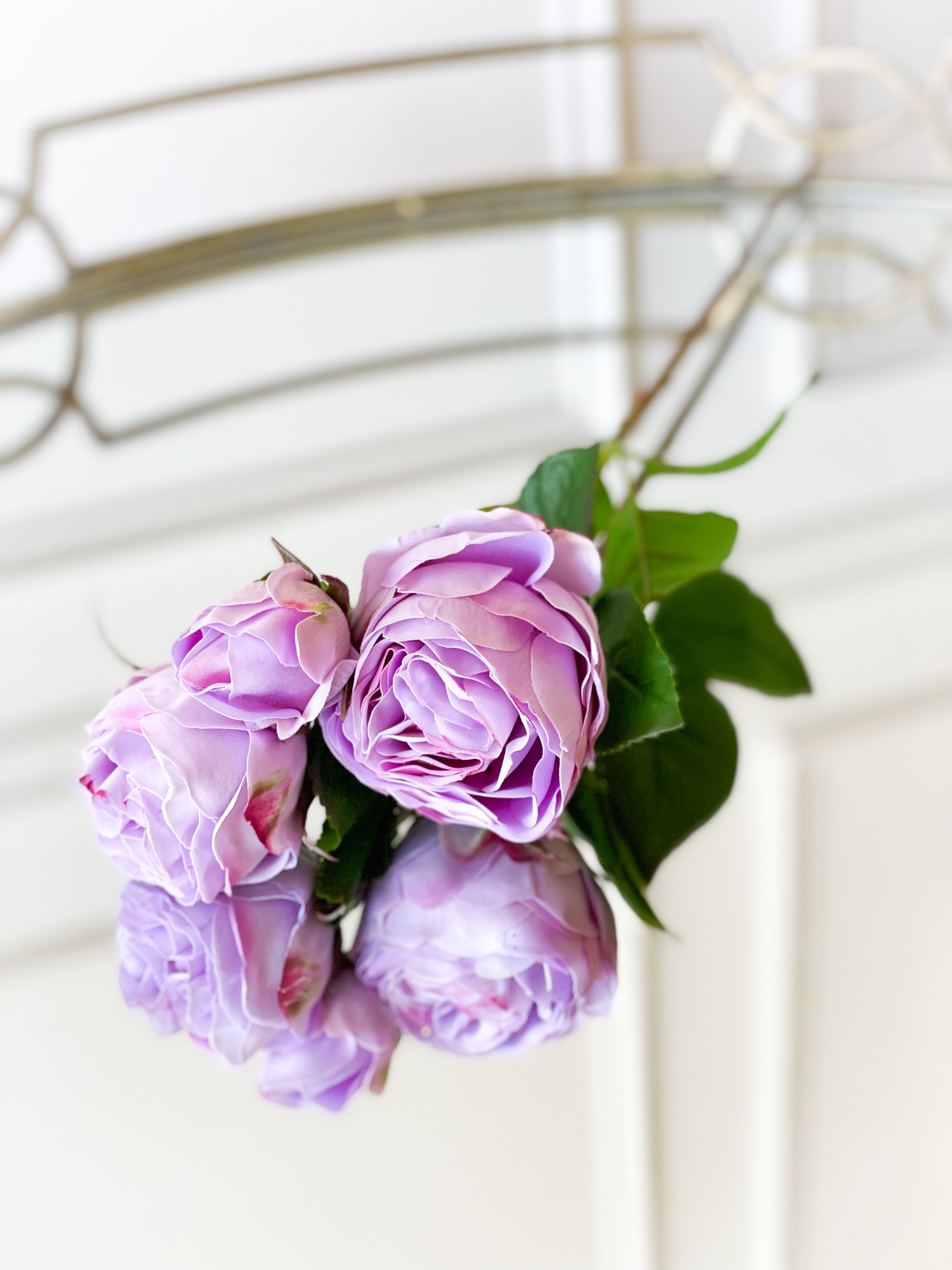 Lavender Dried Cabbage Rose - Kelea's Florals