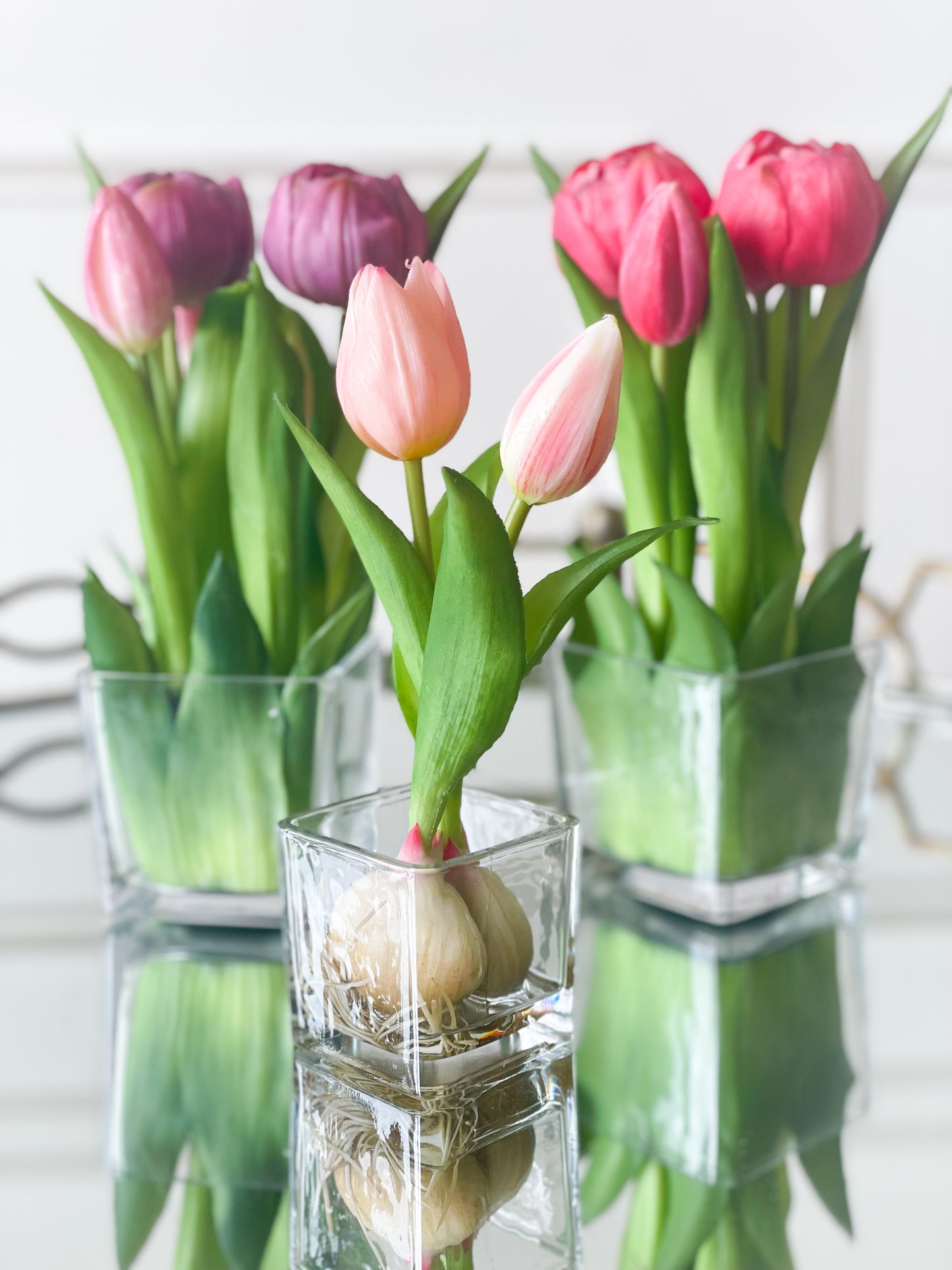 Soft Pink Tulip Bud And Bulb In Vase