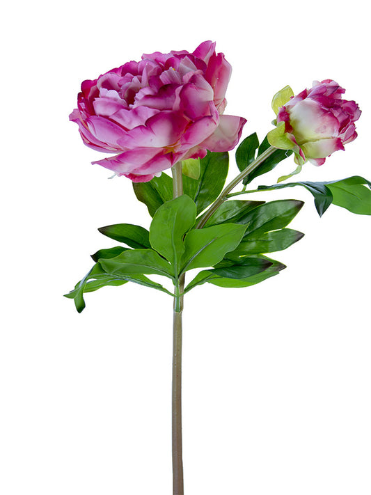 Fresh Touch Fuchsia Peony & Bud Stem