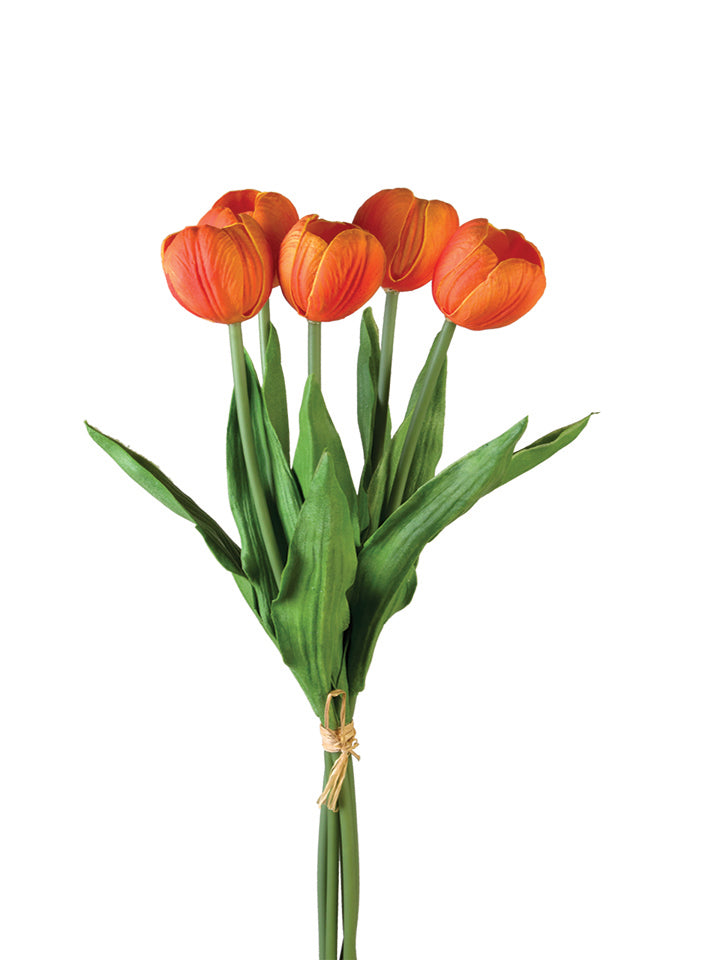 17” Orange Tulip Stem Bundle