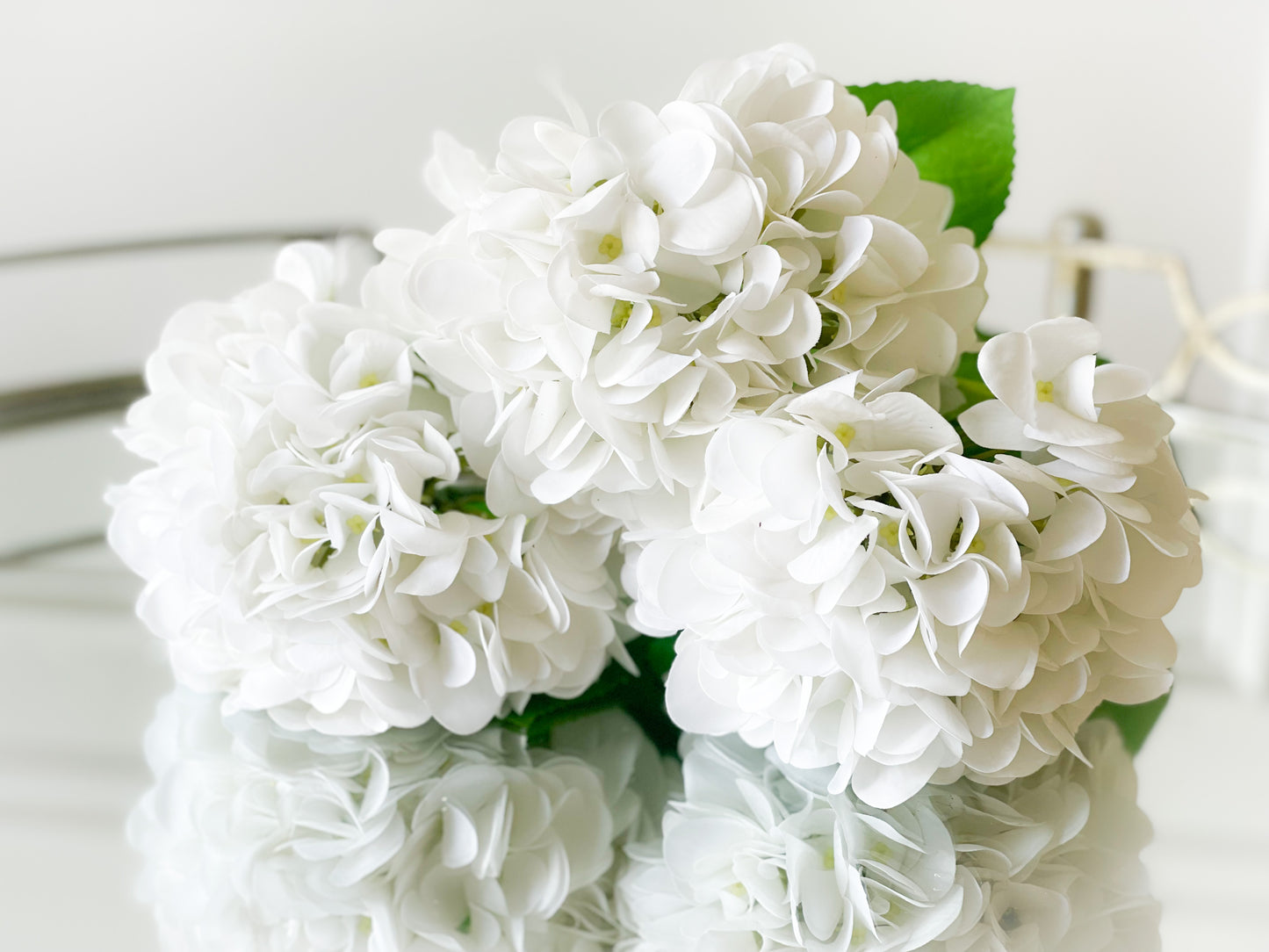 The Evangeline Blanc Box Bouquet