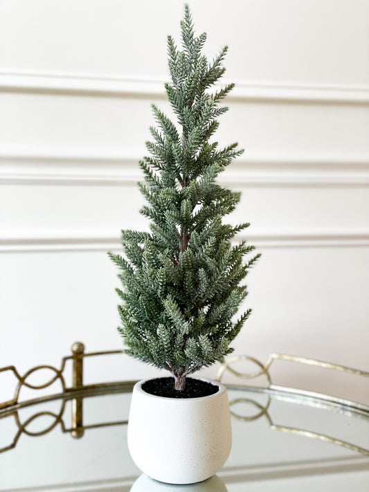 Shimmer Pine Tree In Pot